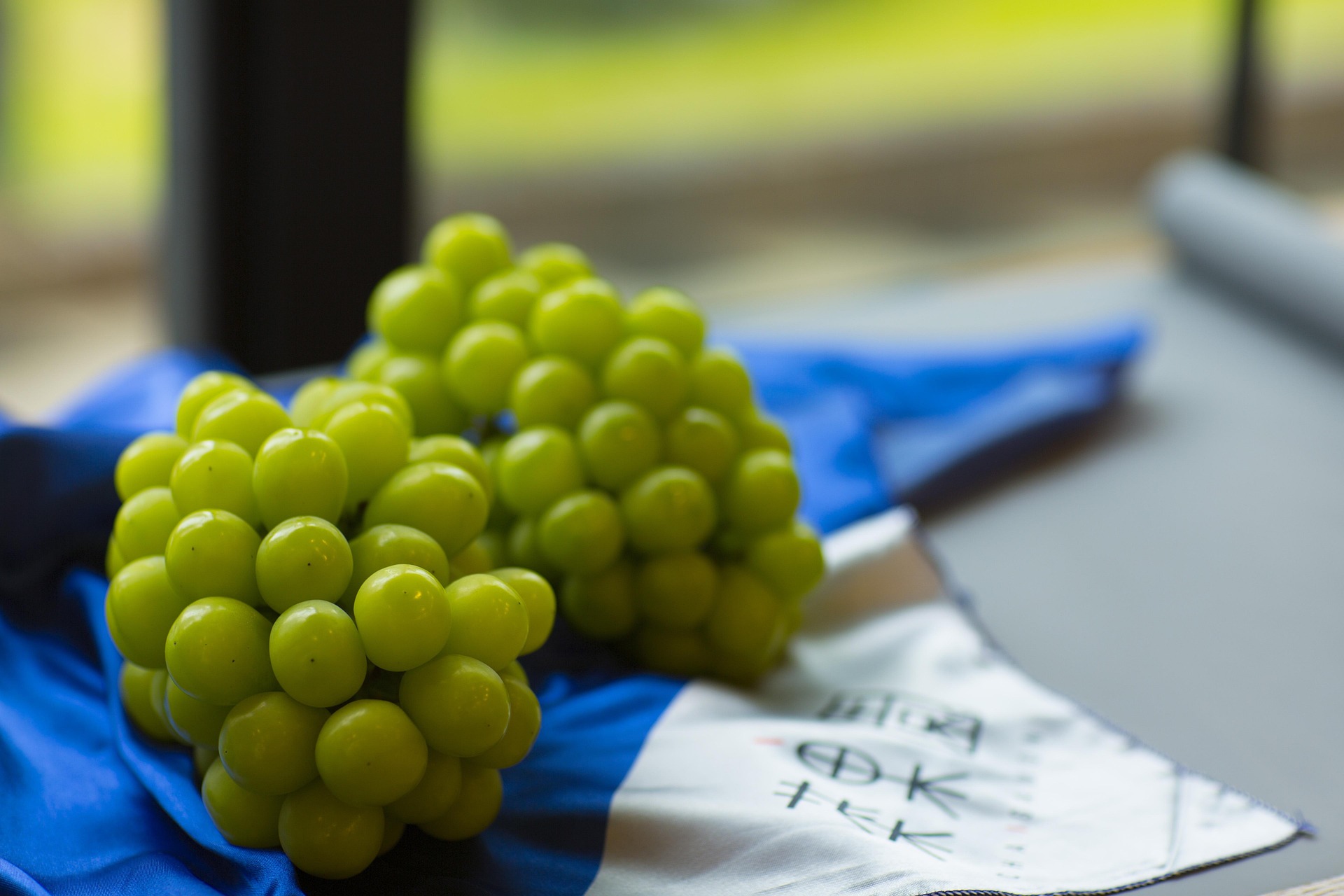 Green grapes on the vine